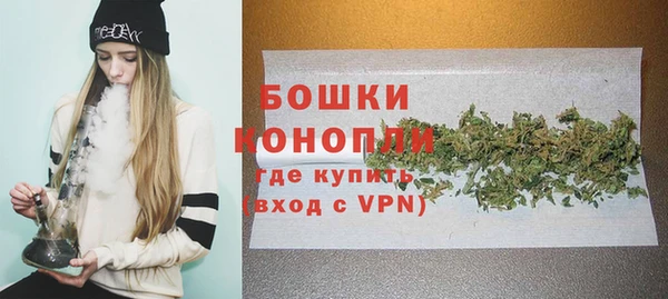 шишки Волосово