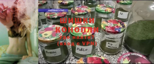 индика Сясьстрой