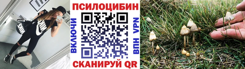 Галлюциногенные грибы Psilocybe  Демидов 